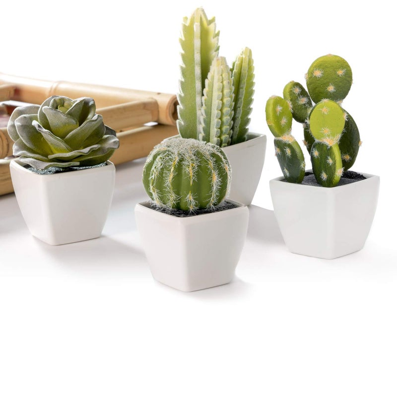 Nattol Artificial Mini Succulent & Cactus Plants in White Cube-Shaped Pots for Home Decor, Set of 4 - Image 3